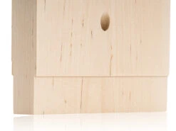 Axtschlag Flammlachsbrett Premium Line Birke - Klemmhalterung - Mit Patentierter Halterung Für Feuerstelle, Grillrost Und Gasgrill -Outdoor-Grillladen Axtschlag Flammlachsbrett Premium Line Birke Nut