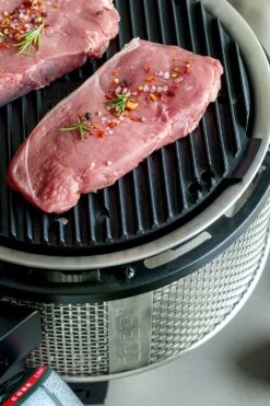 Cobb Grill Premier Gas Deluxe 2.0 - Gasgrill - Kartuschenanschluss - Modell 2023 -Outdoor-Grillladen Cobb Grasgrill Premier Deluxe 2 Griddle Grillplatte