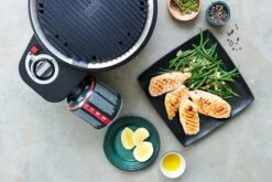 Cobb Grill Premier Gas Deluxe 2.0 - Gasgrill - Kartuschenanschluss - Modell 2023 -Outdoor-Grillladen Cobb Grill Premier Gas Deluxe 2 0 Grillplatte