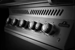 Napoleon 700-Series 38" BIG38 Edelstahl Einbaugrill Inkl. Drehspieß - Modell 2023 -Outdoor-Grillladen Napoleon Einbaugrill 700 Series BIG38 Bedienblende