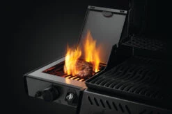 Napoleon Freestyle 365 Gasgrill, Graphit - Mit Sizzle Zone Und Tür - Modell 2023 NEU -Outdoor-Grillladen Napoleon Freestyle Sizzle Zone Flamme