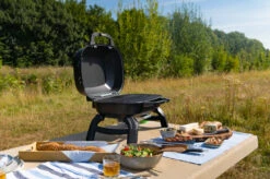 Napoleon TravelQ 240 Kompakt Gasgrill Schwarz- Modell 2023 -Outdoor-Grillladen Napoleon TravelQ TQ240 Kompaktgrill