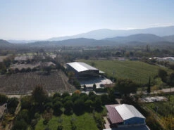 Grillfürst Feinkost - Olivenöl Niz Olive Memecik - Nativ Extra - Mehrfach International Preisgekrönt - 500ml 15 Grillfürst Feinkost - Olivenöl Niz Olive Memecik - Nativ Extra - Mehrfach International Preisgekrönt - 500ml -Outdoor-Grillladen Niz Olive Produktionsstaette bestes Olivenoel weltwet