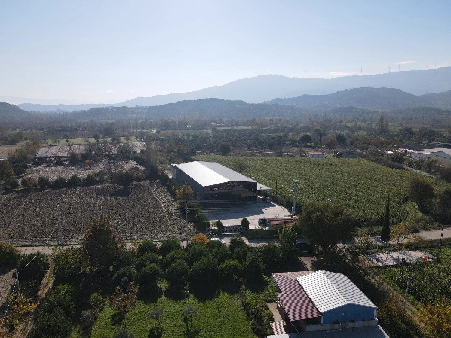 Grillfürst Feinkost - Olivenöl Niz Olive Memecik - Nativ Extra - Mehrfach International Preisgekrönt - 500ml 8 Grillfürst Feinkost - Olivenöl Niz Olive Memecik - Nativ Extra - Mehrfach International Preisgekrönt - 500ml – Bild 8