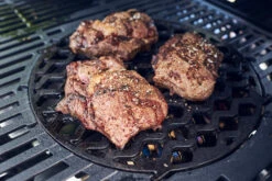 Enders Switch Grid Einsatz: Sear Grate Gusseisenrost -Outdoor-Grillladen enders switch grid einsatz sear grate 7791