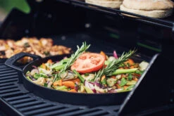 Enders Switch Grid Einsatz: Gusseisen Pfanne -Outdoor-Grillladen enders switch grid pfanne gusseisen 7792