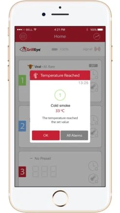 GrillEye Smart Bluetooth Grillthermometer (Grill Eye) -Outdoor-Grillladen grilleye app alarm temperatur