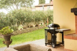 Napoleon Holzkohlegrill Kugelgrill Ø 57cm Im Rollwagen Mit Gussrost Und Deckelscharnier PRO22K-Cart-2 -Outdoor-Grillladen napoleon grill terrasse PRO22K CART 2