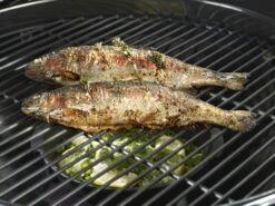 Outdoorchef Gusseisenpfanne / Aromapfanne Ø 23cm -Outdoor-Grillladen outdoorchef aromapfanne 18 211 71 f