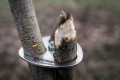 Petromax Dreibein-Ring -Outdoor-Grillladen petromax dreibeinring detail d ring