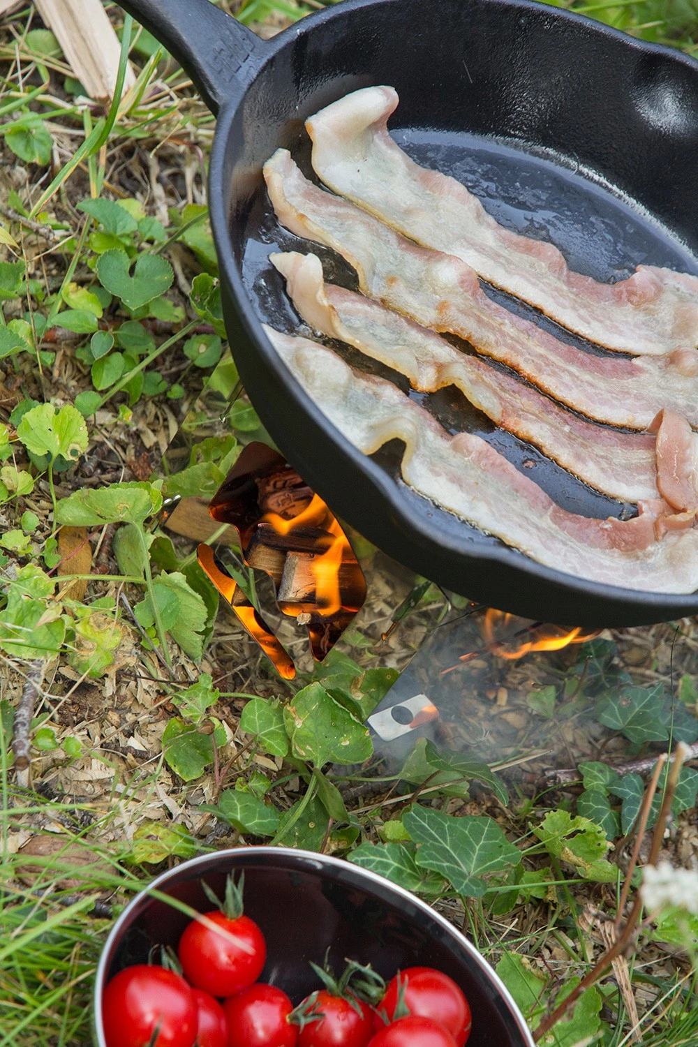 Petromax Feuerpfanne Gusseisen Fp25-t Mit Stiel 2 Petromax Feuerpfanne Gusseisen Fp25-t Mit Stiel – Bild 2