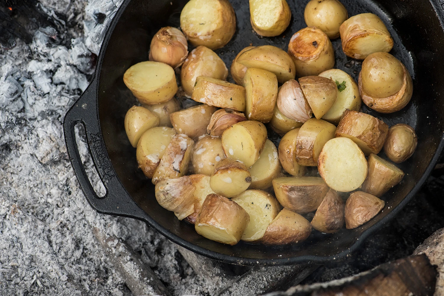 Petromax Feuerpfanne Gusseisen Fp25h-t Mit Zwei Henkeln 1 Petromax Feuerpfanne Gusseisen Fp25h-t Mit Zwei Henkeln
