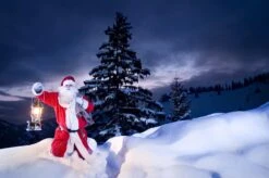 Petromax Petroleumlampe HK500/829 Chrom -Outdoor-Grillladen petromax starklichtlampe hk500 px5c 20