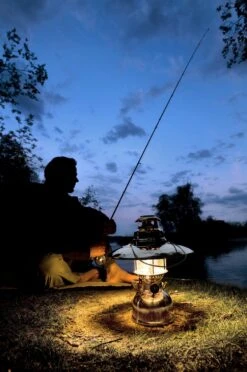 Petromax Petroleumlampe HK500/829 Messing -Outdoor-Grillladen petromax starklichtlampe hk500 px5m 14